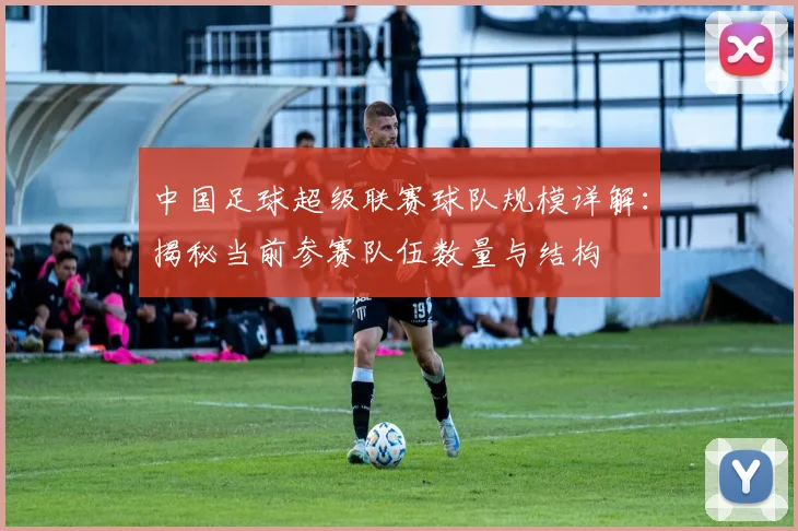 中国足球超级联赛球队规模详解：揭秘当前参赛队伍数量与结构